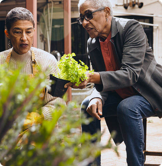 Older Adults’ Equity Collaborative