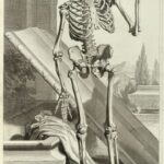 Bidloo_Anatomia_1685_Tab87_watermark