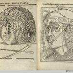 Dryander_Anatomiae_1537_Fig4_head_watermark