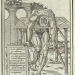Estienne_Dissectione_1545_242_watermark