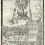 Estienne_Dissectione_1545_43_watermark