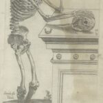 Geminus_Compendiosa_1559_Tab2Skeleton_watermark