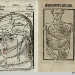 Hundt_Antropologium_1501_02-119_watermark