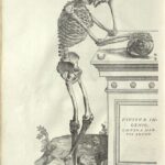 Vesalius_Fabrica_1543_Lambert_164_watermark