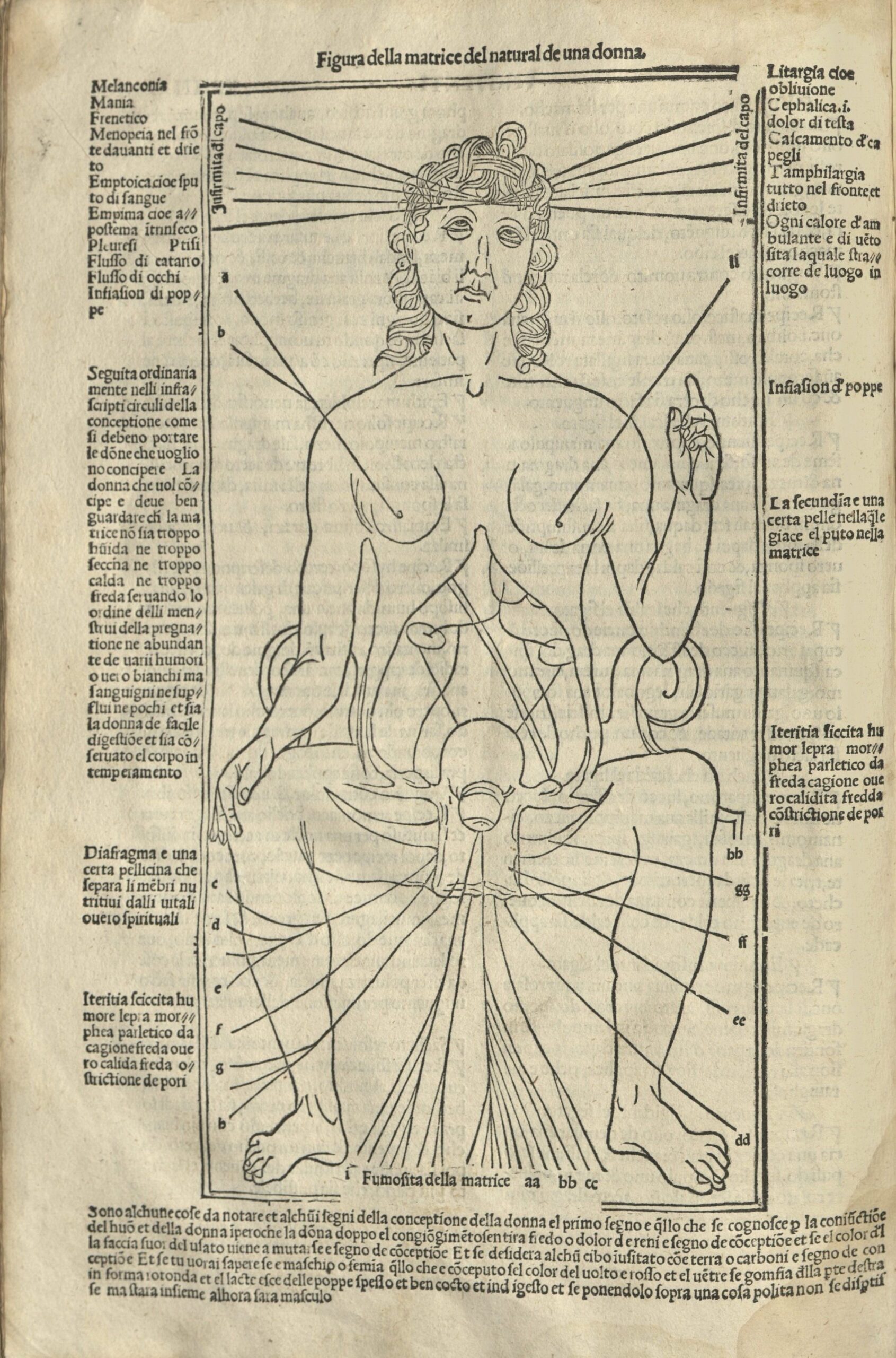  The Library Digitizes Five Renaissance Books 