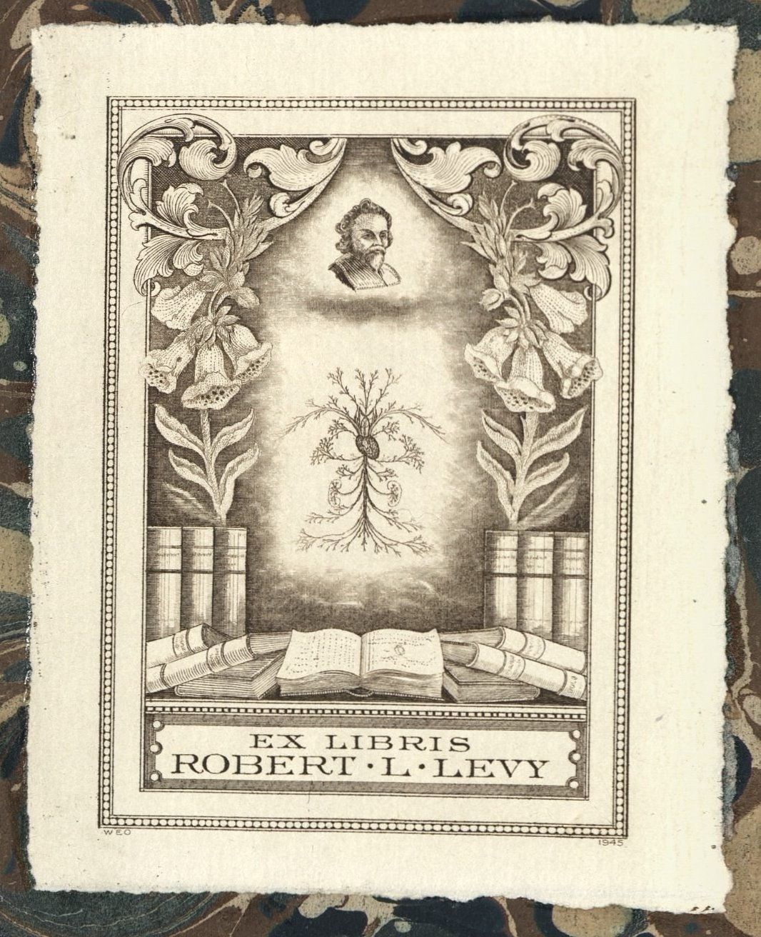 Dr. Robert Levy’s Collection of Books on Cardiology and the Works of William Harvey Arrives