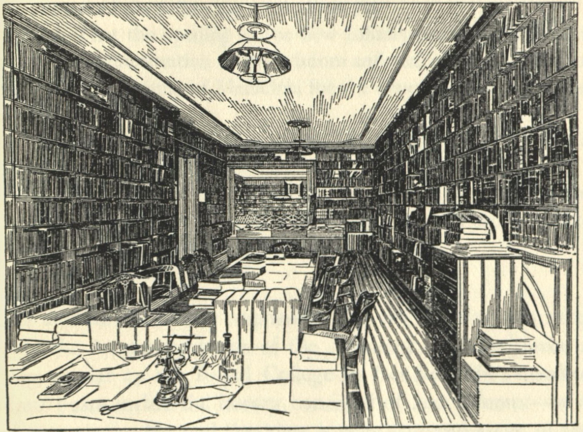 The Library Opens to the Public