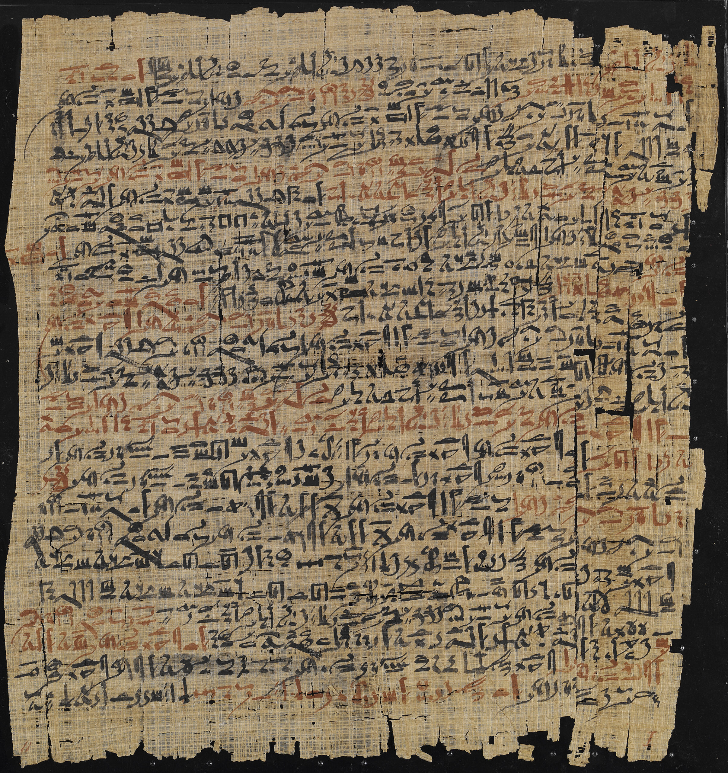 The New-York Historical Society and the Brooklyn Museum Donate the Edwin Smith Surgical Papyrus 